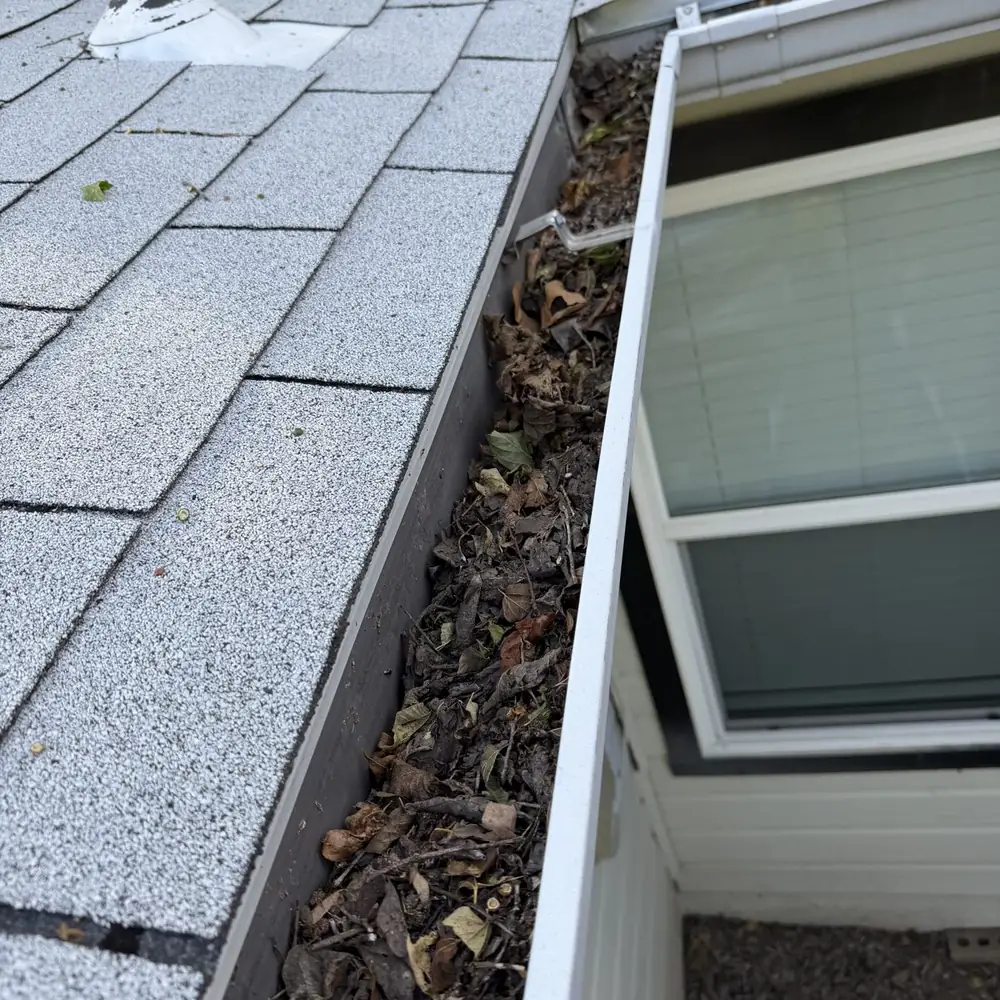 Gutter packed with leaves and debris before professional gutter cleaning